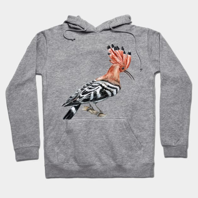 hoopoe bird hand drawn Hoodie by Mako Design 